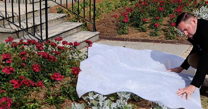 6 tips to prepare your plants for freezes. And by the way, don't wait until the last minute.