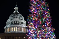 Capitol Christmas tree from Nevada lit in Washington