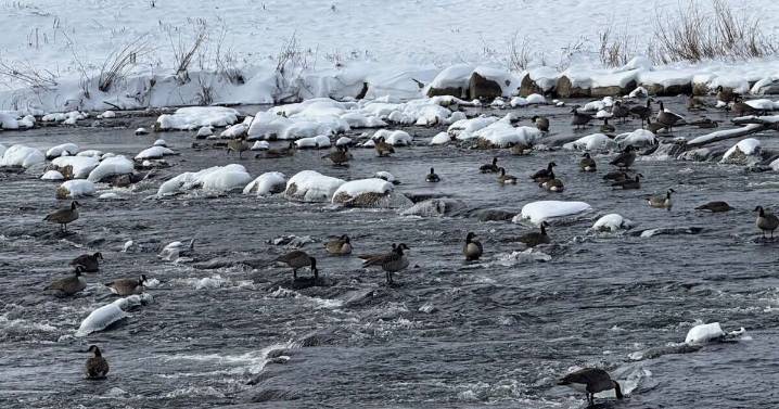 Just bobbin’ along