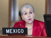 México reafirma el derecho de asilo en la OEA y descarta reformas