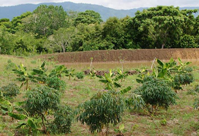 ANT entrega a campesinos predio que fue “ocupado irregularmente” por sociedad del expresidente Uribe