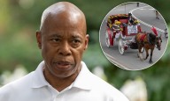 Adams hiring outside vet to examine Central Park carriage horses seen as assault on industry