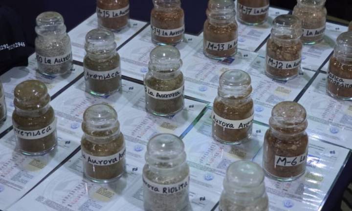 Presentaron estudios geológicos en Camcaroní 2025