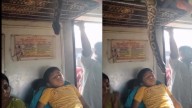 Is This Video Of Python Hanging Over Child On A Train Real? Find Out