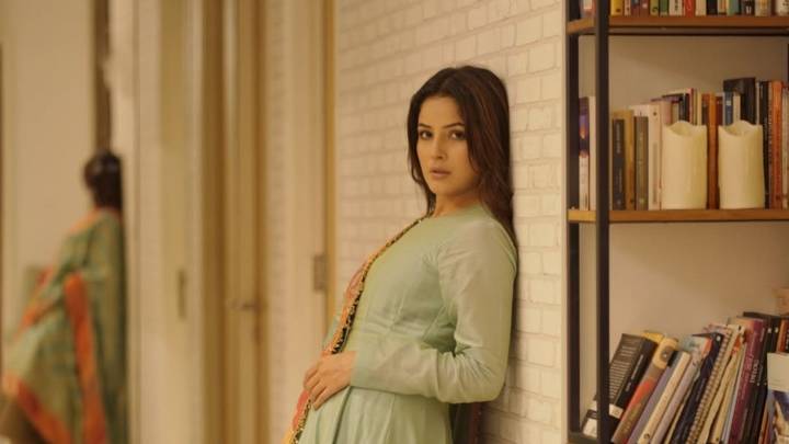 Shehnaaz Gill says she's treated like a prop in Hindi films