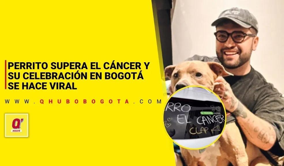 Perrito supera el cáncer y su celebración en Bogotá se hace viral