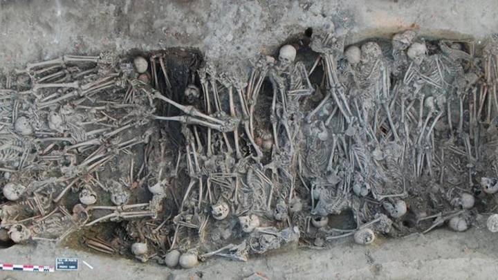 Anillos de árboles del Pirineo indican que la erupción de un misterioso volcán provocó la llegada de la peste negra a Europa en el siglo XIV