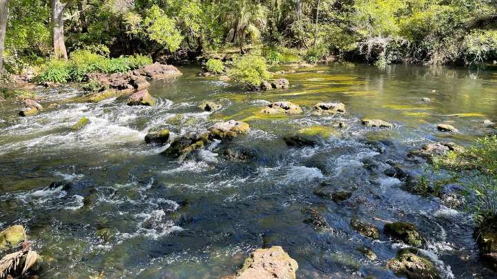 Florida, let’s put money into our state parks