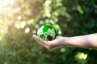 Fan Travel Accounts for 62% of Live Music-Related Carbon Emissions in the U.S.: Study