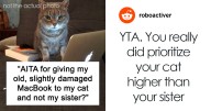 Guy Splits The Internet After Giving His Old Laptop To His Cat Instead Of His Sister