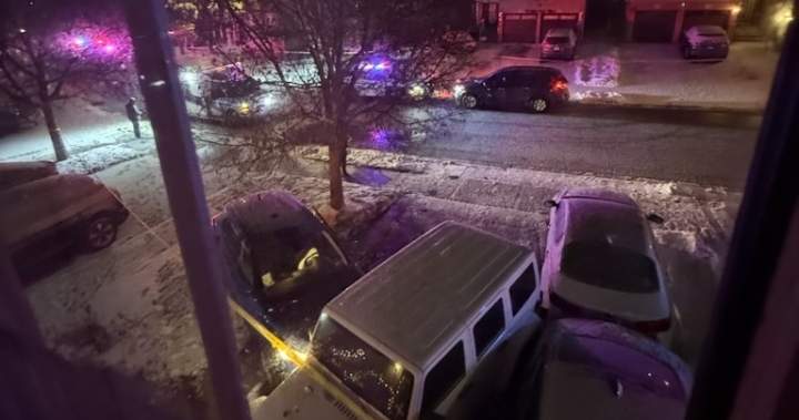 ‘Guardian angel’: Good Samaritan recalls giving first aid to Ontario shooting victim