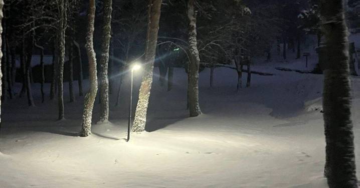 Galería | La provincia de Ourense se cubre de blanco con las primeras nevadas