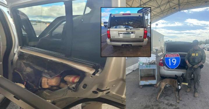 Incautan narcóticos en punto de revisión migratorio al norte de Nogales, Arizona