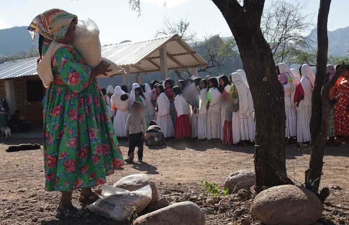 Impulsa SPyCI autosuficiencia alimentaria de comunidades de pueblos originarios