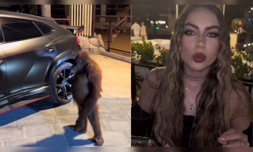 Woman books ‘Uber Monkey’ in Dubai, pays ₹1.2 lakh for 15