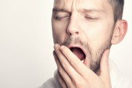 Secreto en las células. Por qué es mejor dormir de noche: la nueva evidencia del estudio con moscas de la fruta