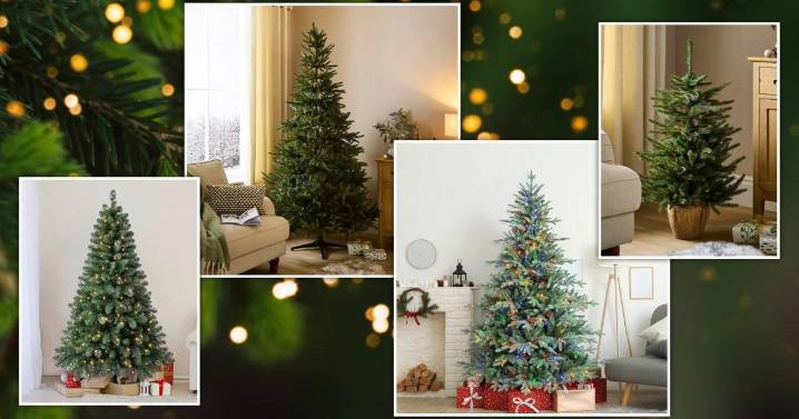 Get your Christmas tree for a steal at Dunelm with up to 30% discount