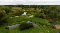What do proposed changes to federal water protections mean for Minnesota?