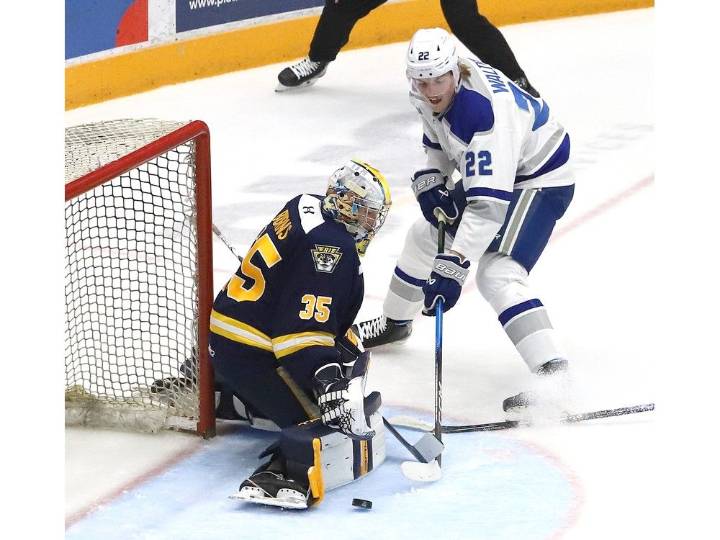 Sudbury Wolves’ Kieron Walton earns second OHL Player of the Week nod