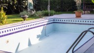 Want To Fill In Your Pool And Turn It Into A Garden? Here's What You Need To Know First