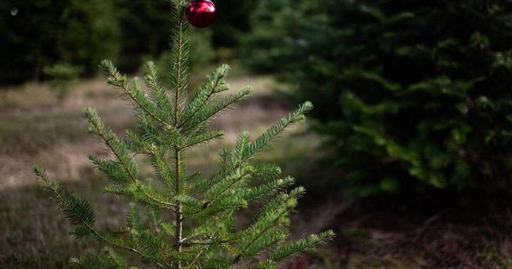 Financial anxiety spikes during the holidays: 6 expert coping strategies