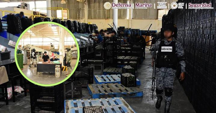 Michoacán bajo fuego: Ejército revienta narco campamentos y desata cacería contra extorsionadores