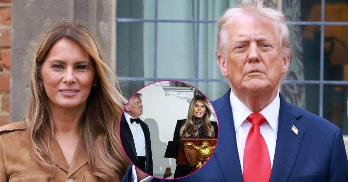 Donald Trump Admits He Has No Idea About Wife Melania's Upcoming Projects: 'I Don't Know What It Is'