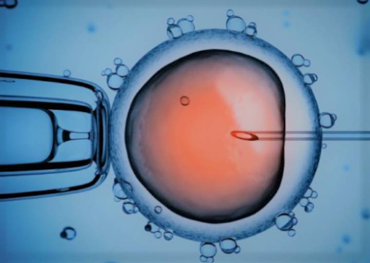 Infertilidad masculina debe abordarse desde una visión sin culpas, ni prejuicios 