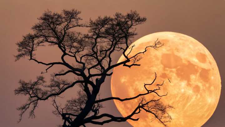 El gran fenómeno natural que los astrónomos advierten que se verá hoy 4 de diciembre en todo el mundo