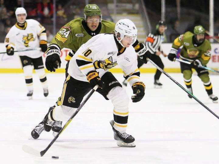 Sarnia Sting optimistic for latest road trip | Grande Prairie Daily Herald Tribune