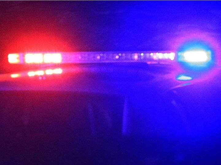 Pedestrian dead after being struck by CTrain