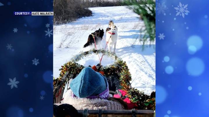 Off the Beaten Path: Dog Sledding