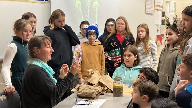School program sowing knowledge of native prairie plants in Sask. classrooms