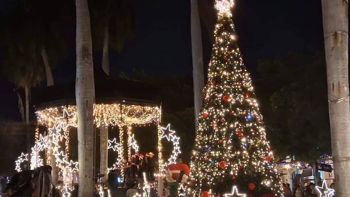 ¡Navidad mazatleca! Encienden pino y luces en la plazuela Machado