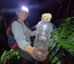 State launches invasive pest site