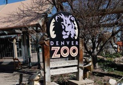 Denver Zoo shuts down for snow, will reopen for nightly Zoo Lights