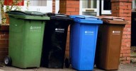 Bin collection complaints rise after £59 garden waste charge brought in