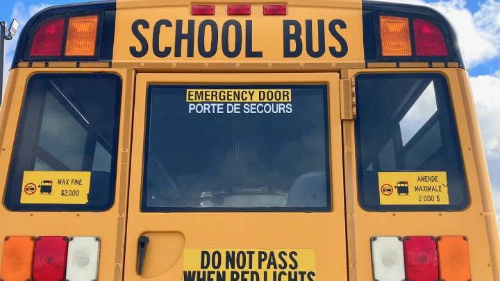 Local bus company names with foreign ownership