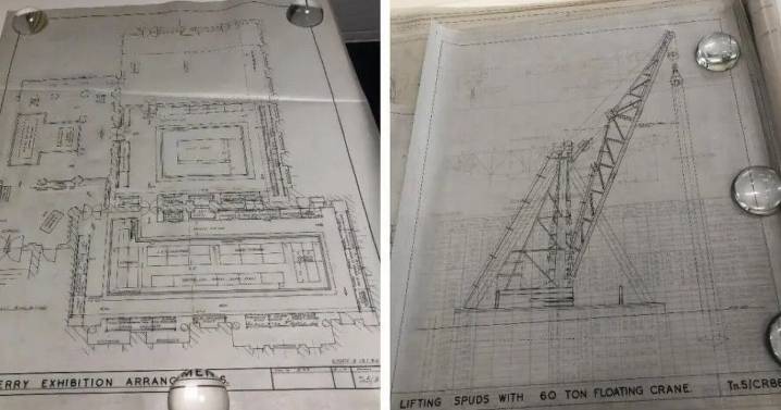 Museum staff 'devastated' after drawings worth £500,000 stolen and destroyed