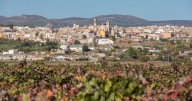 El municipio valenciano declarado conjunto histórico-artístico hace 60 años y que en 2026 será la Ciudad Española del Vino