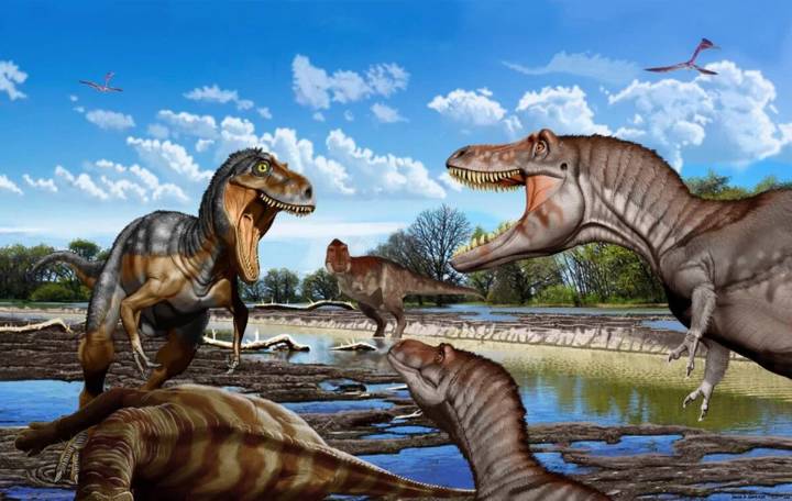 El dinosaurio Nanotyrannus lancensis no era un T.rex adolescente sino otra especie más pequeña