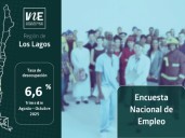 La tasa de desocupación en la Región de Los Lagos fue 6,6% en el trimestre Agosto
