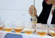 76 muestras de 63 apicultores quieren ser la Mejor Miel de Gran Canaria de 2025