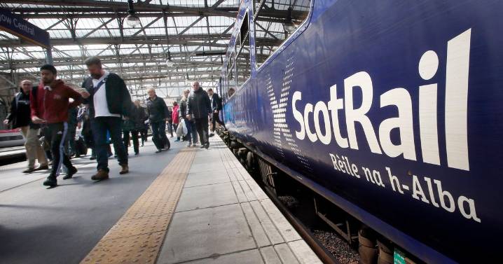 Garden shed and cattle on railway delay trains near Glasgow