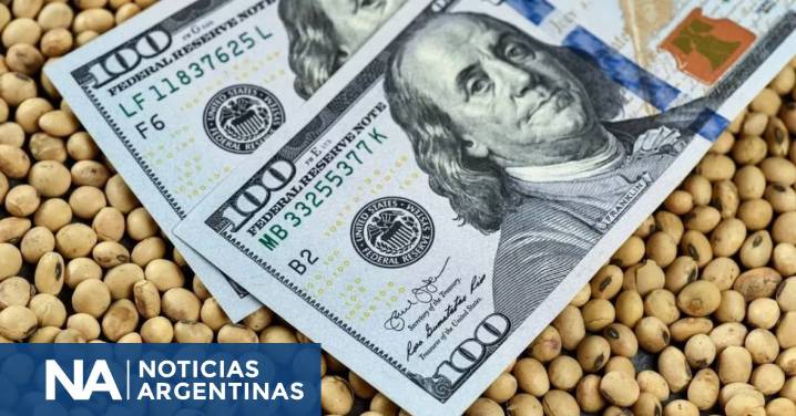 Dólar agro hoy: noviembre cierra con US$ 760 millones y sube el ingreso anual 2025