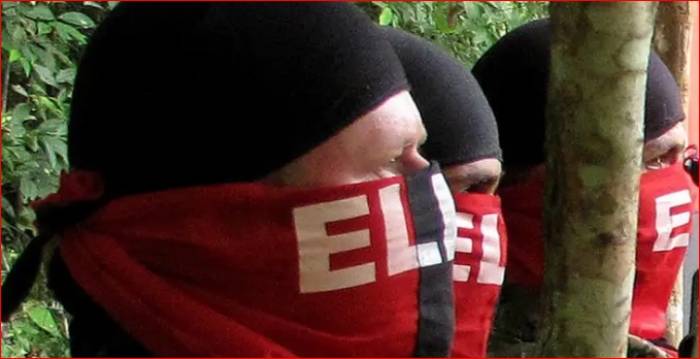 Eln anunció para armado en todo el país desde el 14 de diciembre