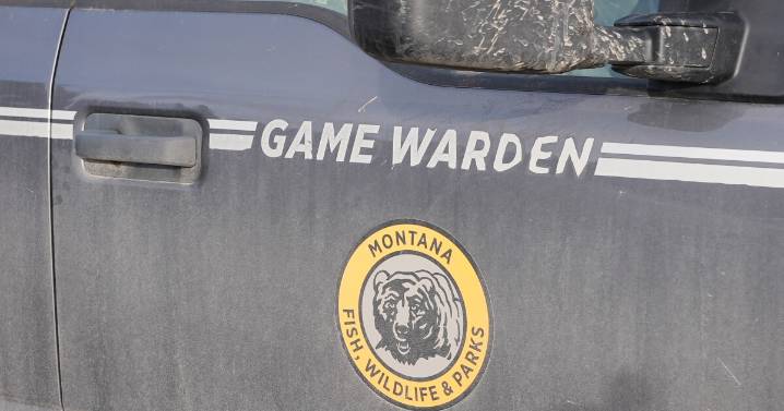 Montana continues to see high number of poaching cases