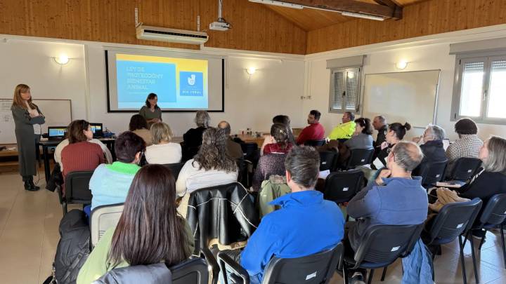 La Diputación de Huesca apoyará a los ayuntamientos en la gestión de colonias felinas