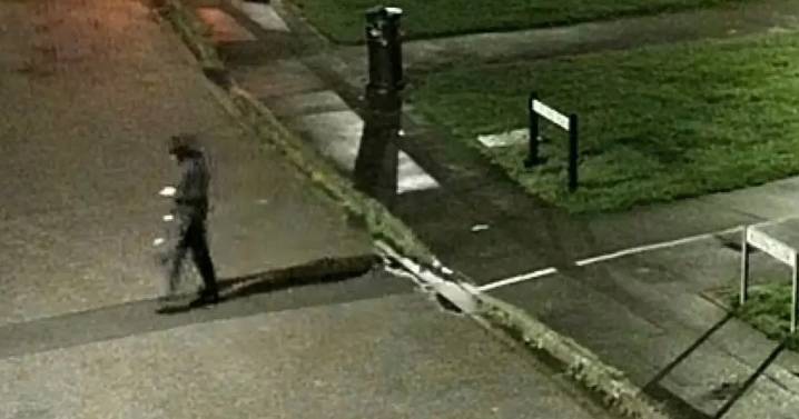 Girl, 12, 'sexually assaulted' in Weston-super-Mare as police release CCTV