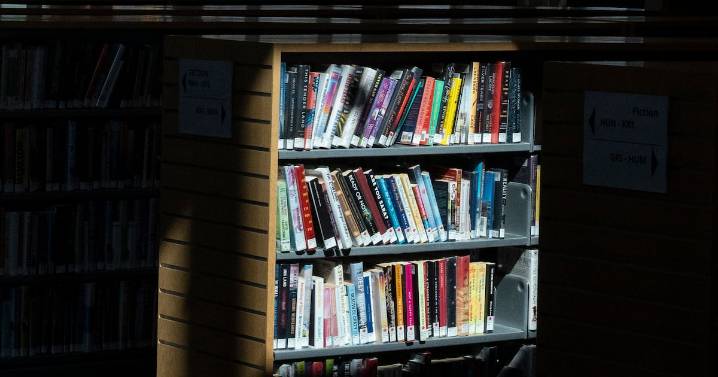 Library costs could rise under Liberal budget, say critics